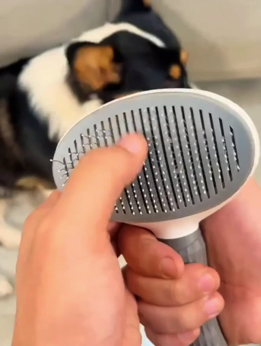 Finally, a Pet Brush That Cleans Itself - No Fur Mess, No Frustration